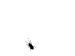 Bug-crawling.gif
