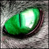 Cat eye avatar