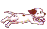 Dalmation pup avatar