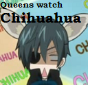 Ciel - queens watch chihuahua avatar