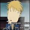 Bunnies ate my brain avatar