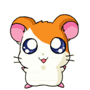 Hamtaro excited avatar
