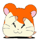 Hamtaro fringe avatar