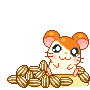 Hamtaro loves nuts avatar