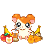 Hamtaro picnic avatar