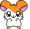 Hamtaro please avatar
