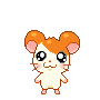 Hamtaro stressed avatar