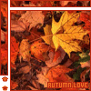 Autumn Leaves avatar