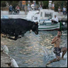 Bull chase avatar