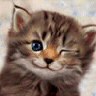 Catwink avatar