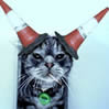 Cone Cat avatar