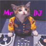 DJ Cat avatar