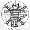 DaVinci cat avatar