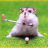 Golfer.jpg