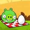 Angry Birds picnic avatar