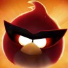 Behold the red bird avatar