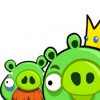 Mean pigs avatar