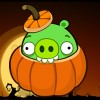 Pig in pumpkin avatar