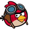 Red pilot bird avatar