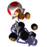 Super Mario Kart (Toadstool) avatar