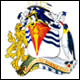 3D British Antarctic Territory Flag avatar