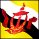 3D Brunei Flag avatar