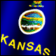 3D Kansas Flag avatar