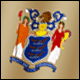 3D New Jersey Flag avatar