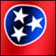 3D Tennessee Flag avatar