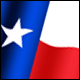 3D Texas Flag avatar