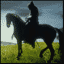 Black Rider avatar