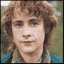 Pippin gif avatar