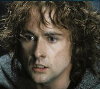Pippin 8 avatar