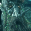 Tree Beard avatar
