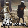 Monty-Python---Flesh-Wound.gif