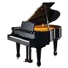 Piano avatar