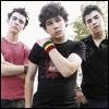 The Jonas Brothers avatar