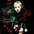 D'arcy Dark Roses avatar