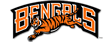 Cincinnati Bengals Logo avatar