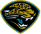 Jacksonville Jaguars 2 avatar