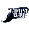 Tampa Bay Devil Rays Logo avatar