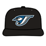 Toronto Blue Jays Road Cap avatar