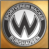 Burghausen (gold) avatar