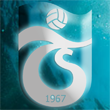 Trabzonspor logo avatar