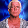Ric Flair (WWE) avatar