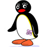 Pingu Lady avatar