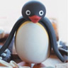 Pingu Standing avatar