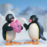 Pingu Valentine Gift avatar