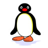 Pingu White avatar