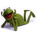 Kermit avatar